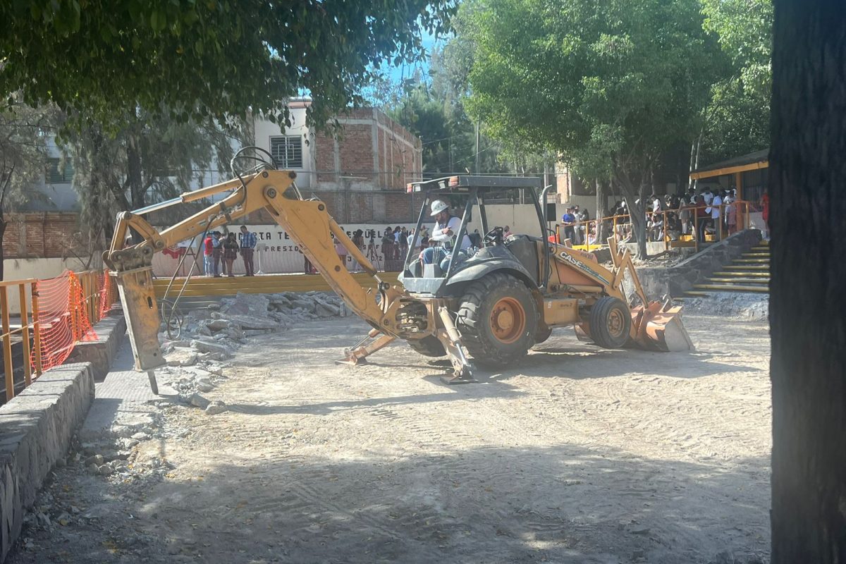 Robla (46)